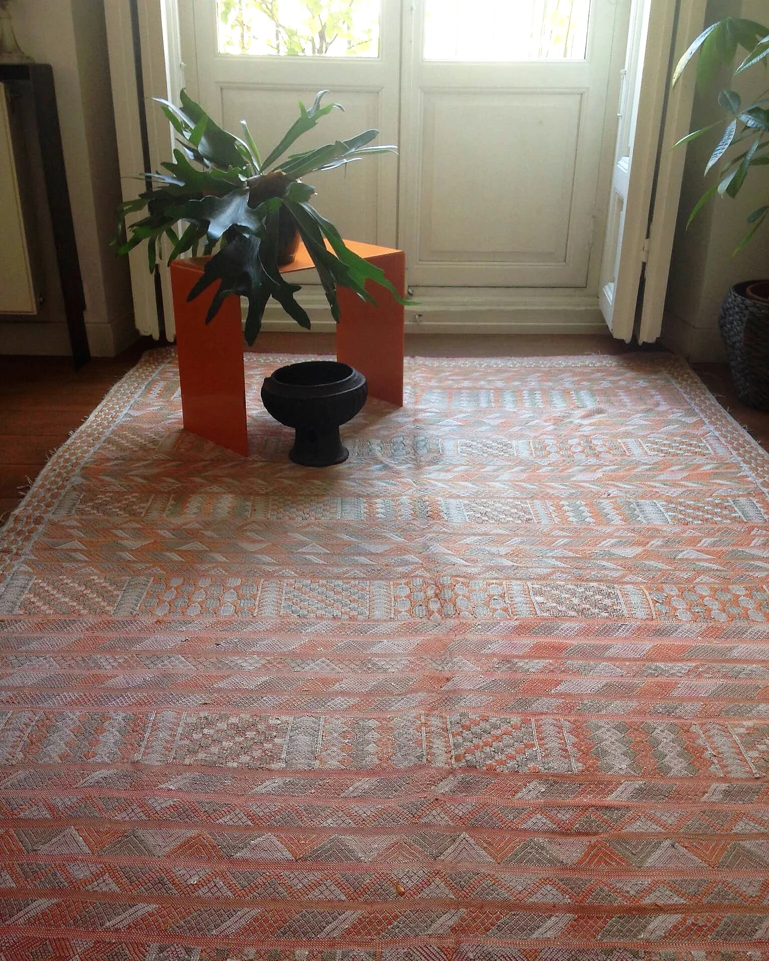 seda de cactus naranja.jpg