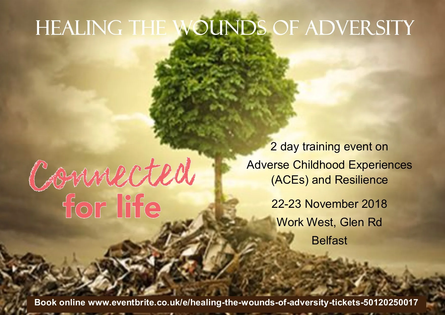 Healing the Wounds of Adversity CNI.jpg
