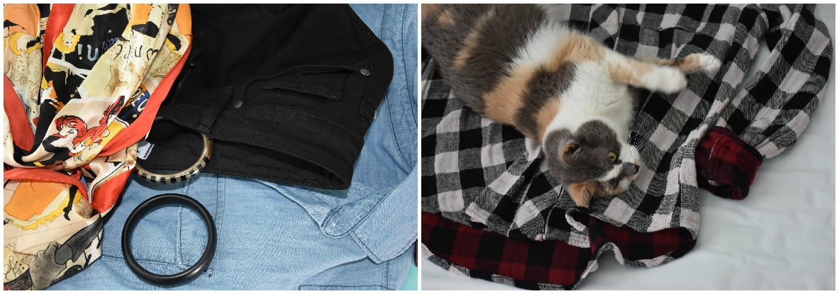 Pretty pieces for new outfits and lots of kitty love during our session.