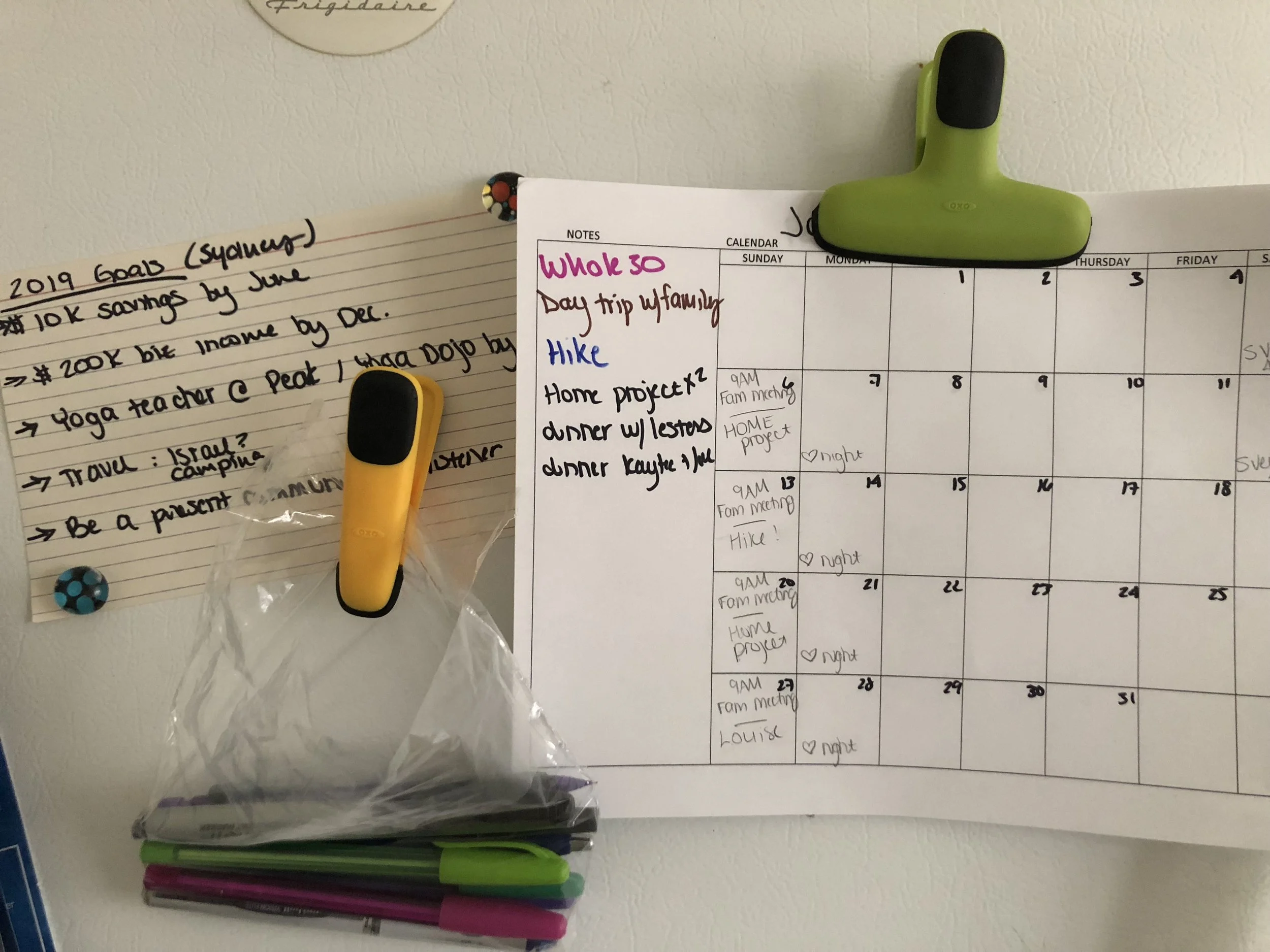 Sample of my 2019 goals + monthly calendar set up on the fridge! The key to tracking and continuing to track is to set up a system that is EASY to use (aka, right in front of you).