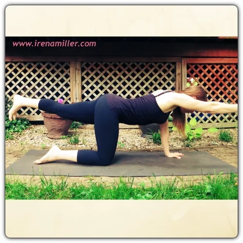 table strong abs tummy toner