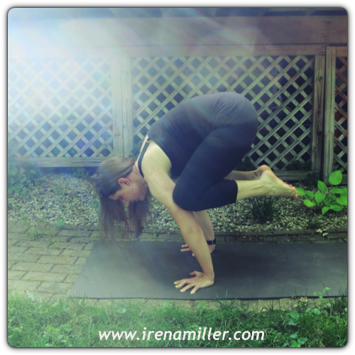 bakasana crow yoga pose