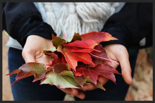 fall yoga retreat irena