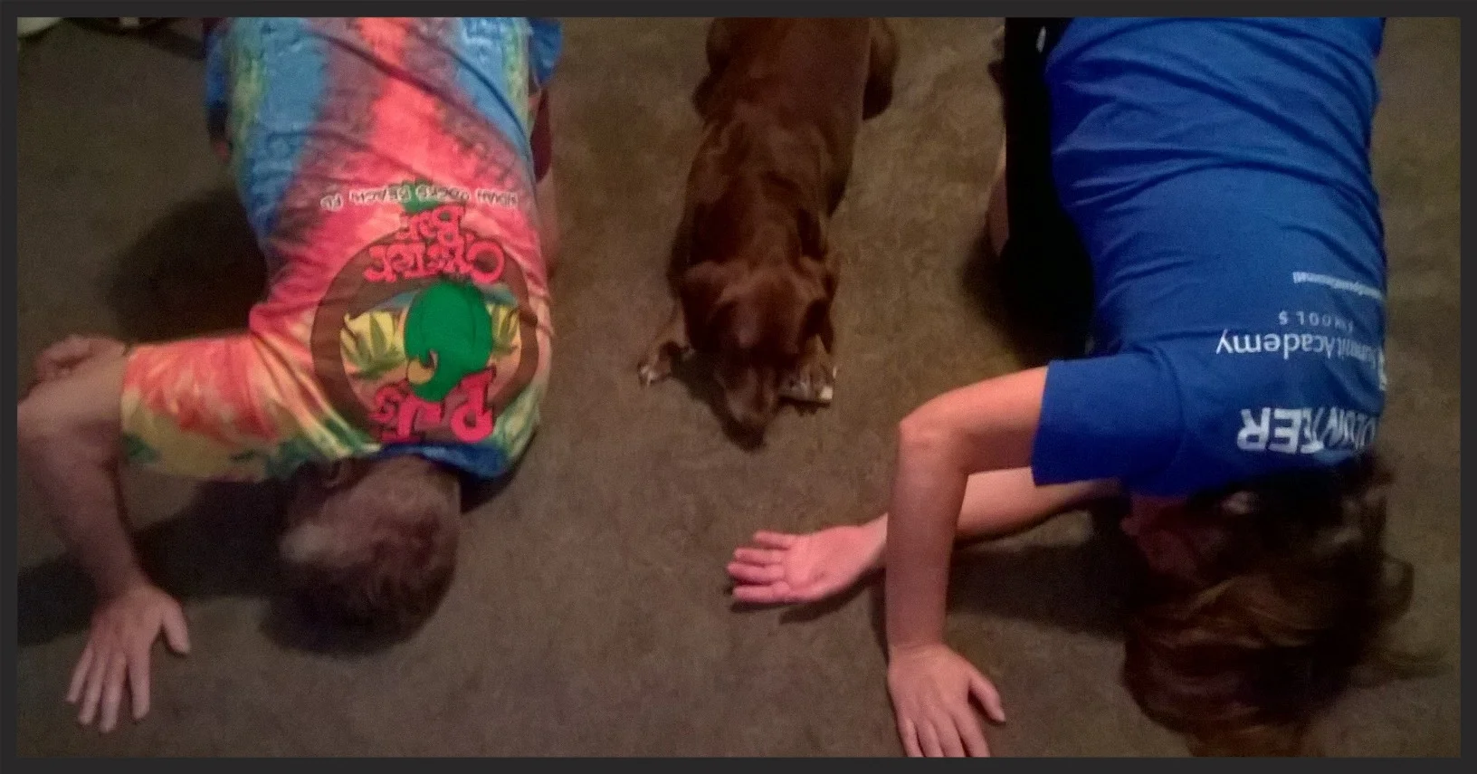 Larry +&nbsp;Lynn's Fur Baby doing downward dog!