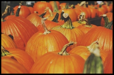 fall yoga irena pumpkin patch