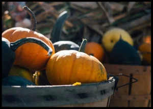 pumpkin irena yoga