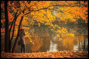 fall leaves irena miller