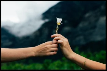 ring hands yoga irena