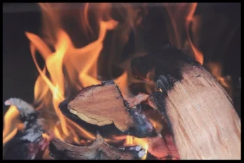 fire yoga irena