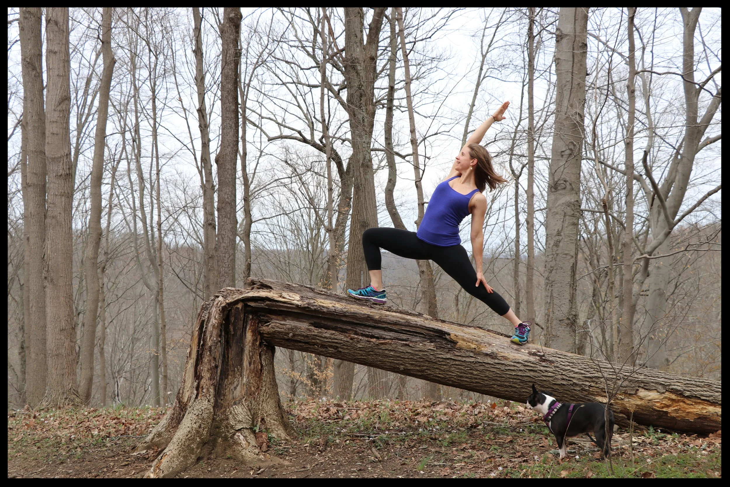 Spring Yoga 5-day Detox Challenge. Want more vim and vigor? Boost your energy, release that heavy feeling from winter, and bring a lightness of being to you! Join me for 15 minutes or less over 5 days and notice the difference! You'll wonder why you didn't strike a pose sooner!  April 17-21, 2017 http://irenamiller.com/spring-yoga