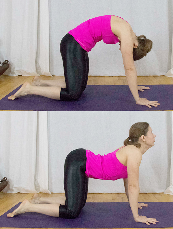 yoga for low back pain www.irenamiller.com