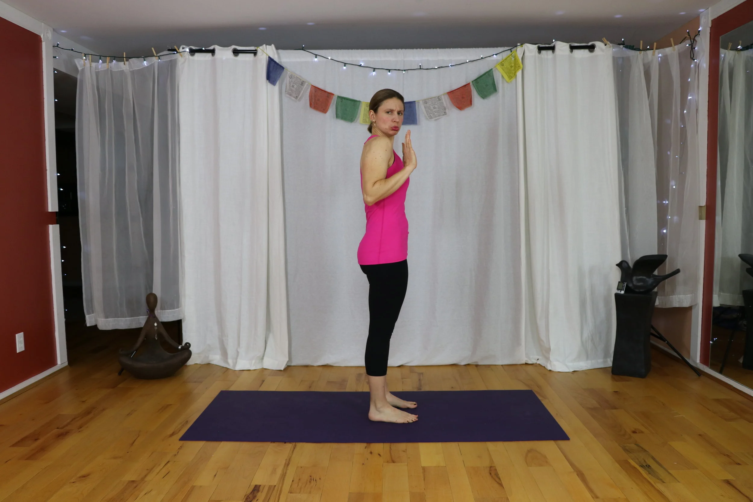 How to do chaturanga safely. www.irenamiller.com Yoga with Irena