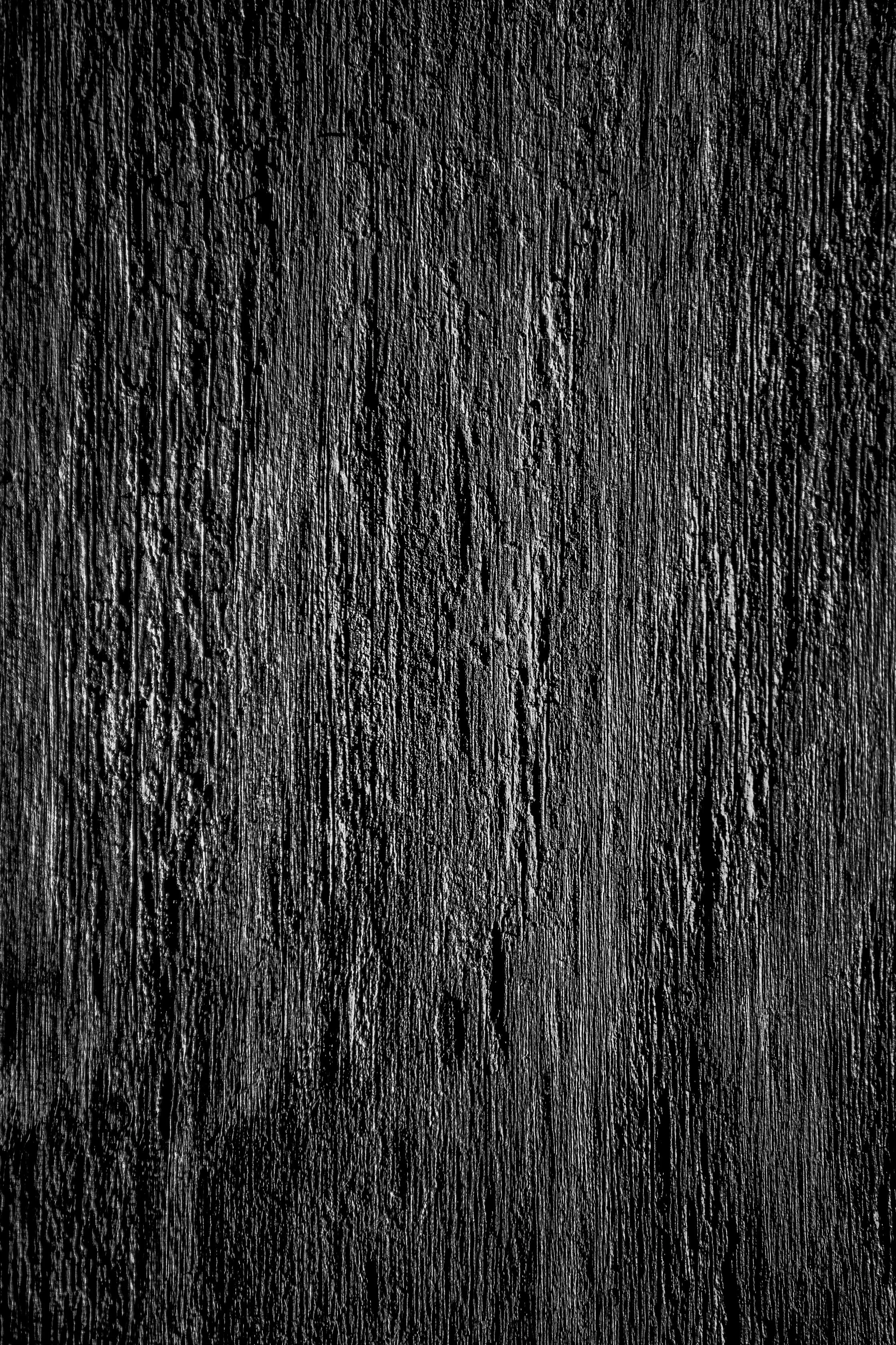 0J4A9860-2.jpg