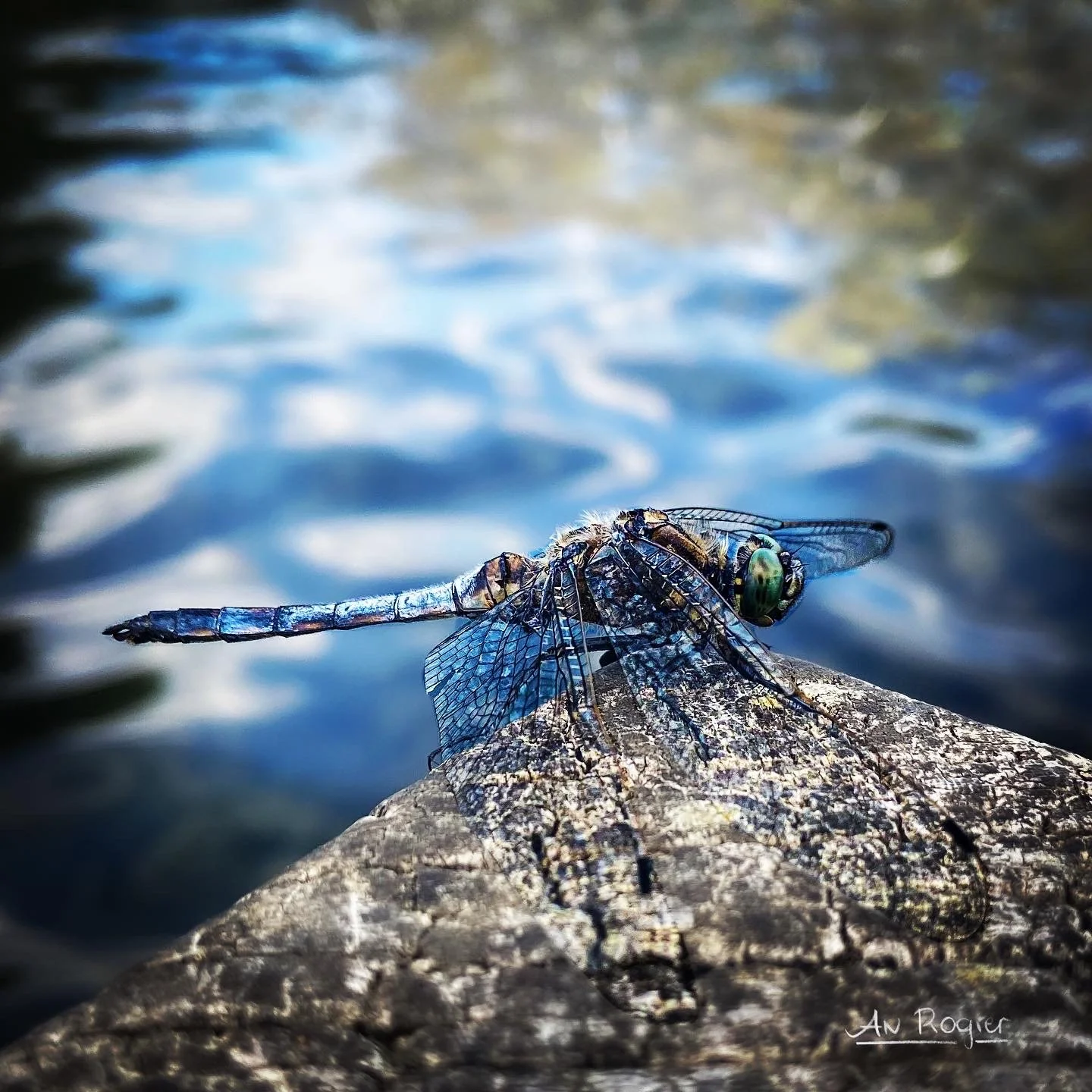 4F8922D3-A2F1-4EB4-A5A7-99E6564E807E.JPG