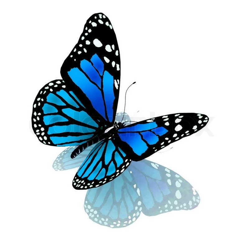 hand-butterflower.jpg
