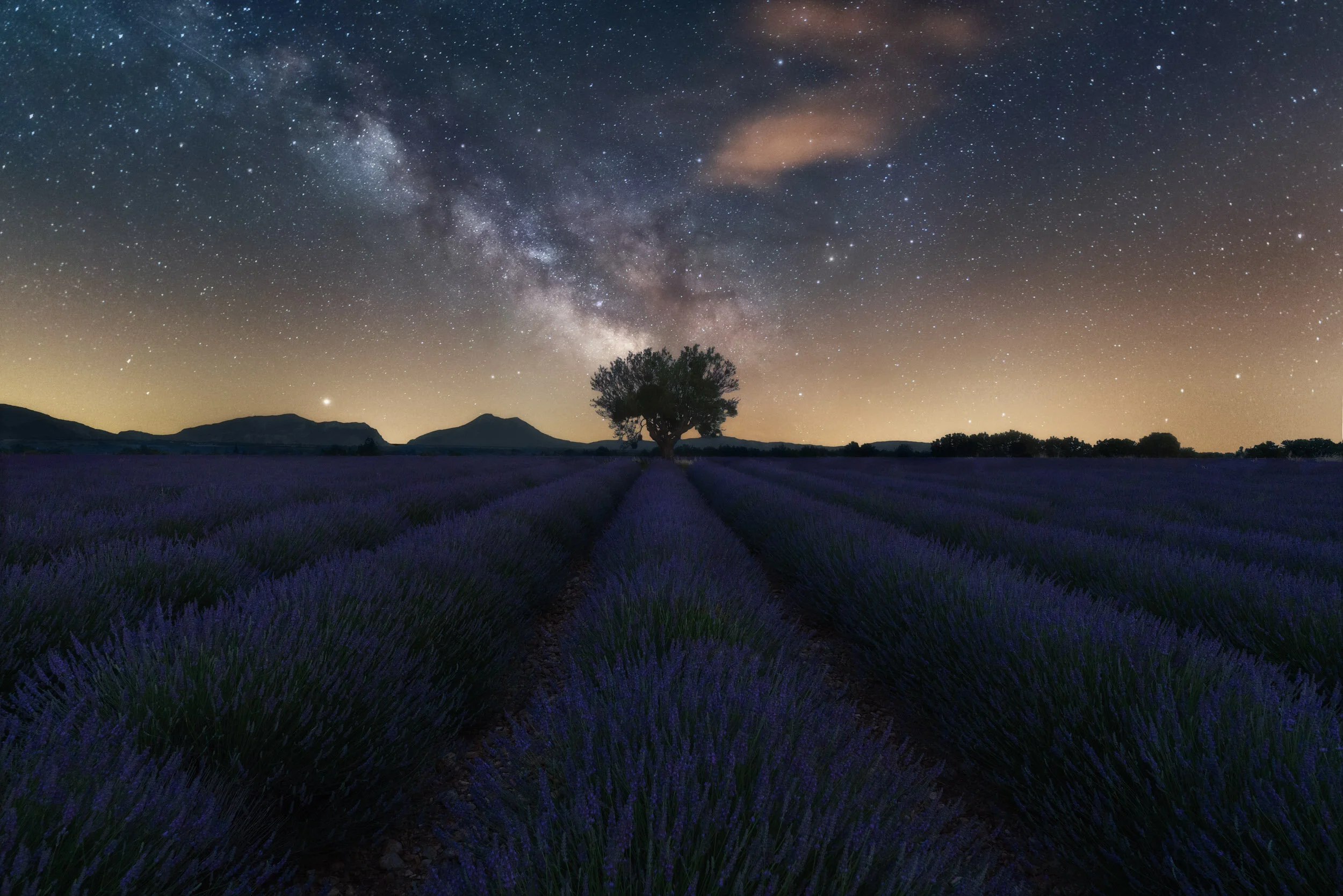 Symphony Of Stars.jpg