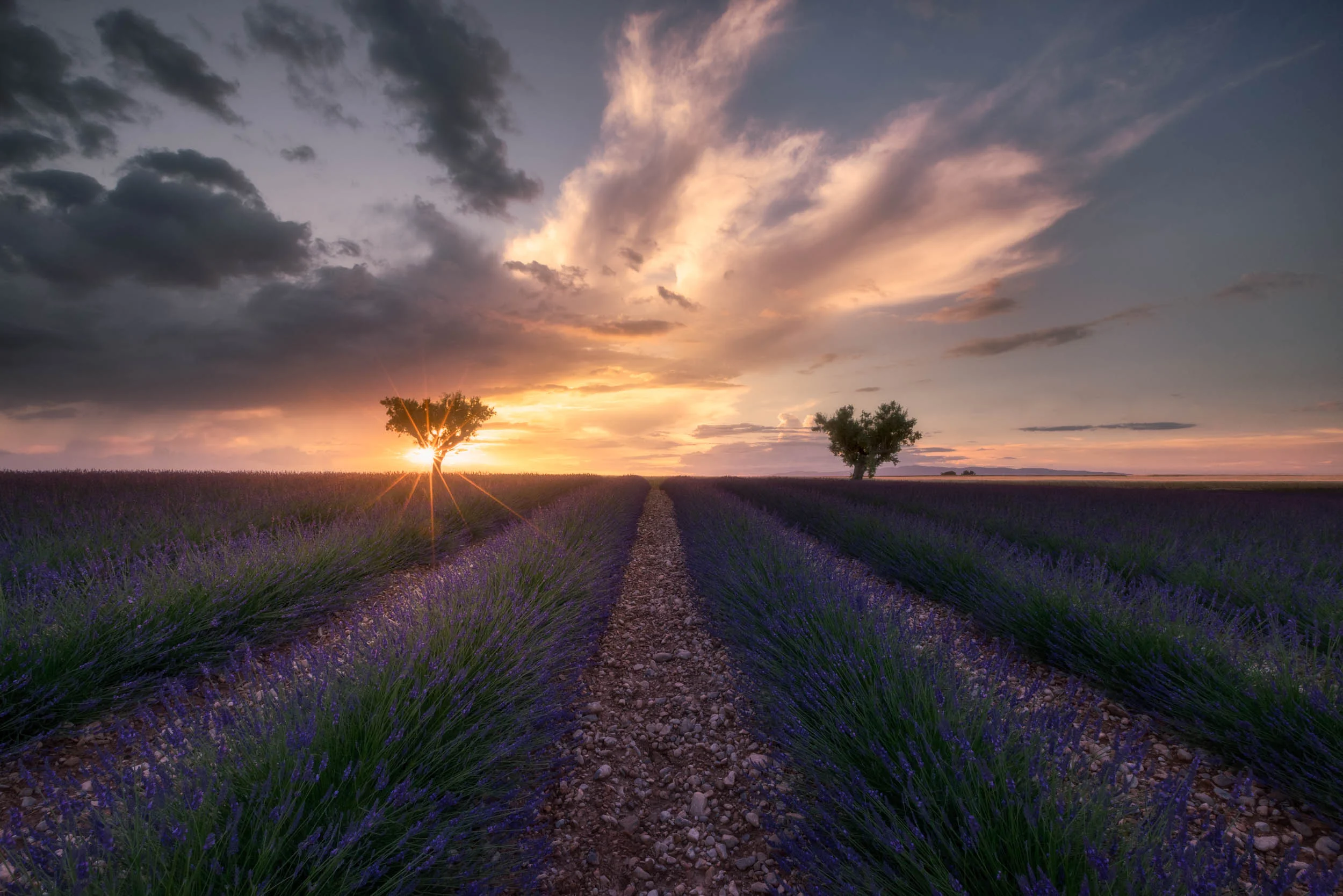 Wonders Of Provence