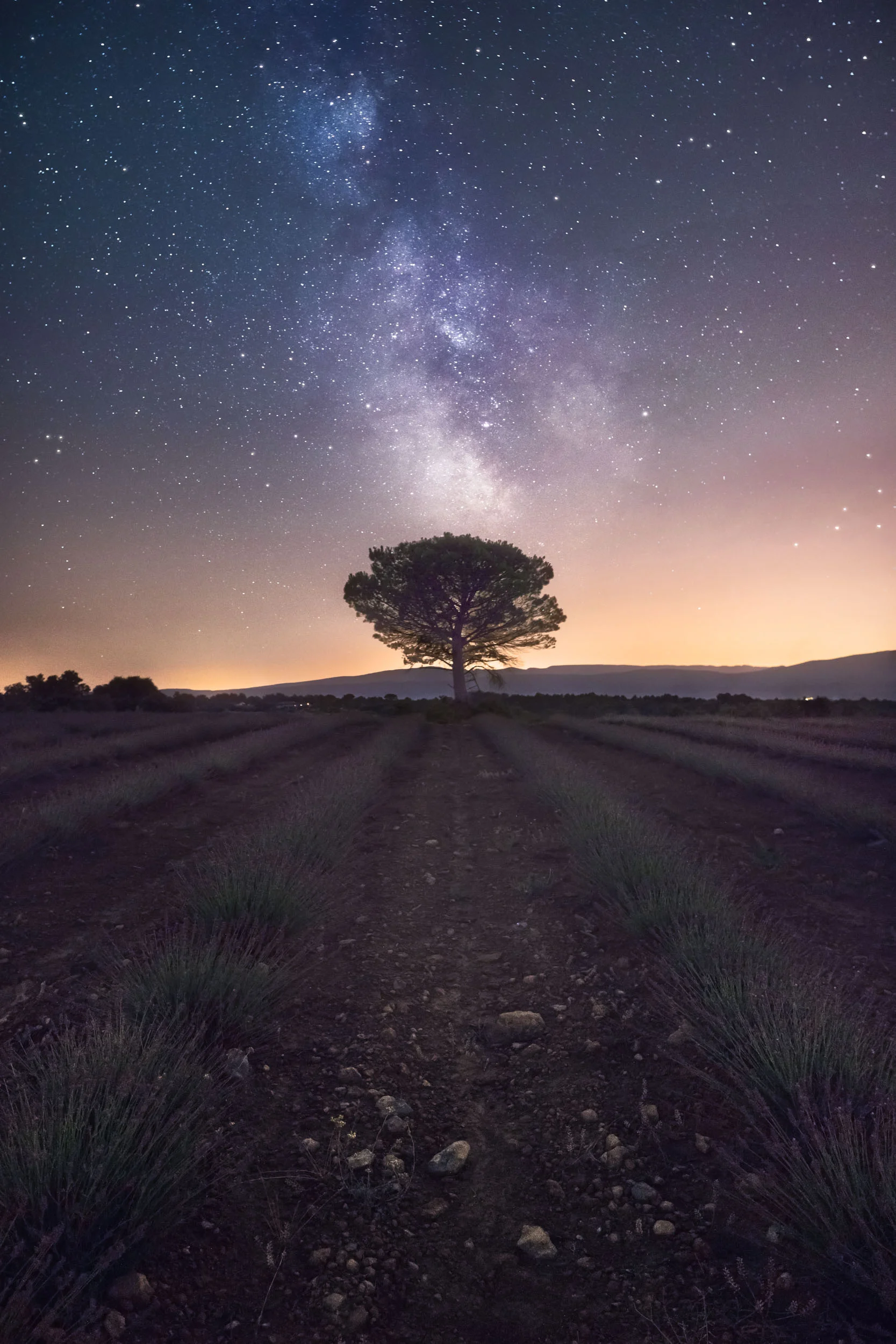 Night Wonders