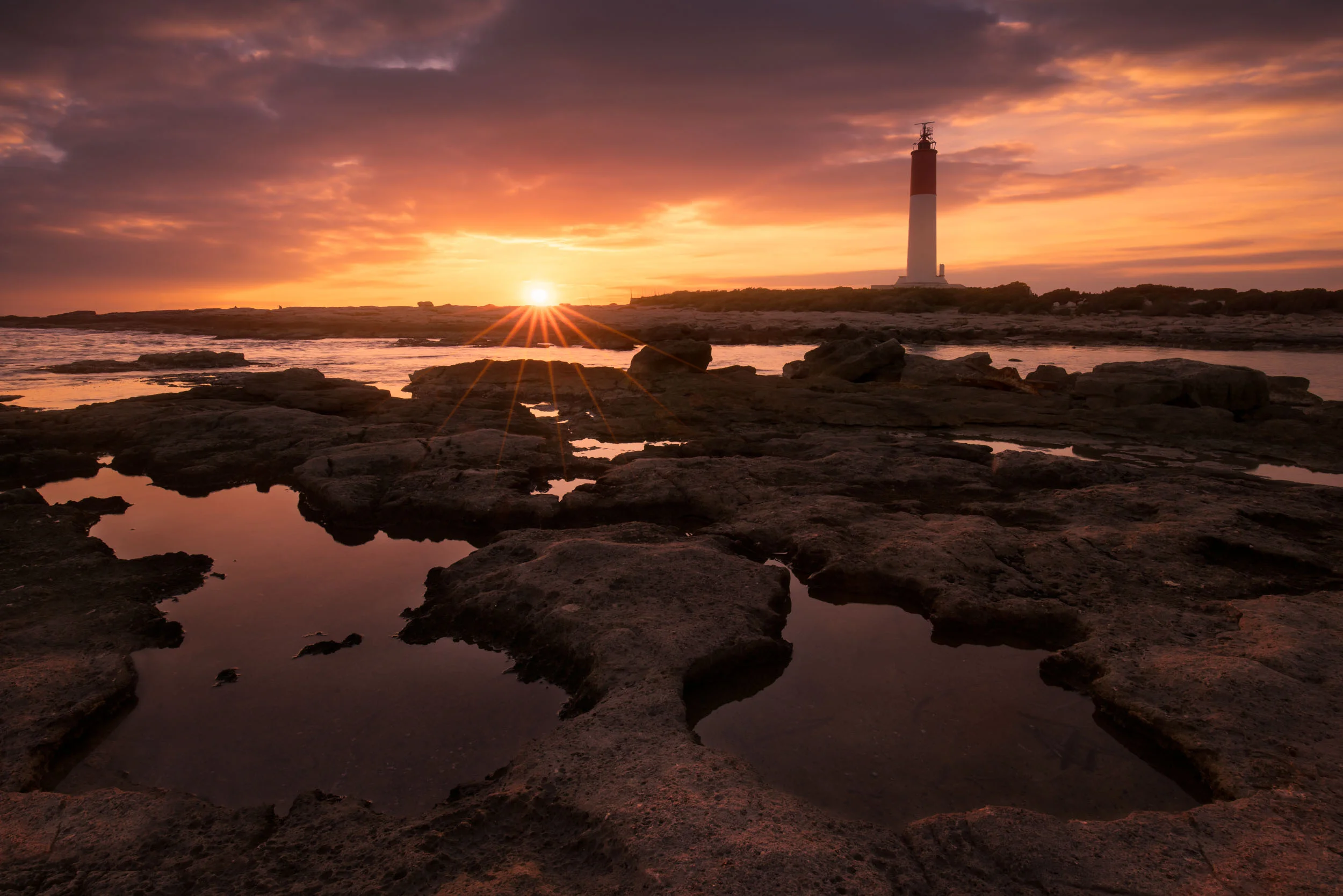 Deep Orange-2.jpg