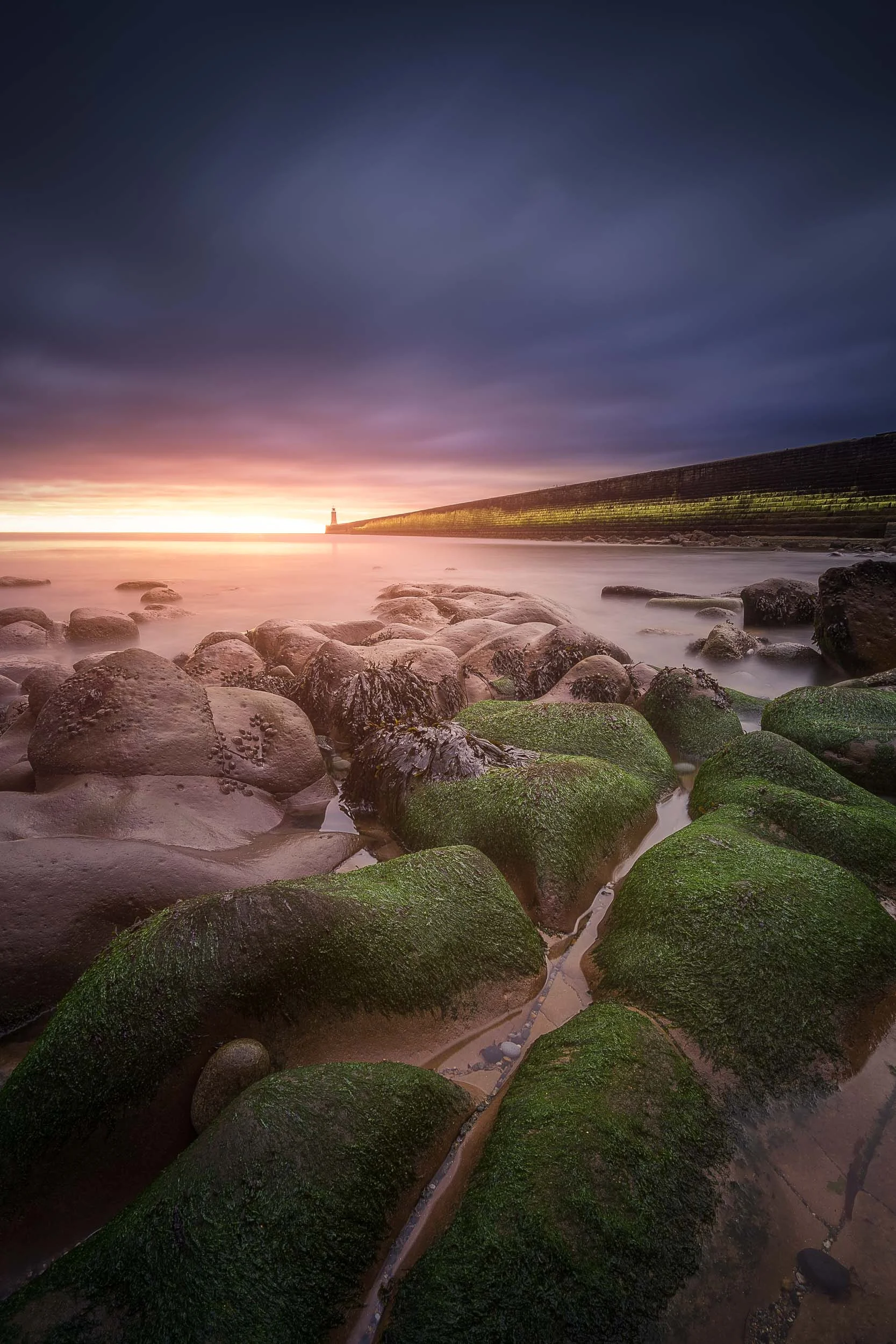 Light Glow-1.jpg