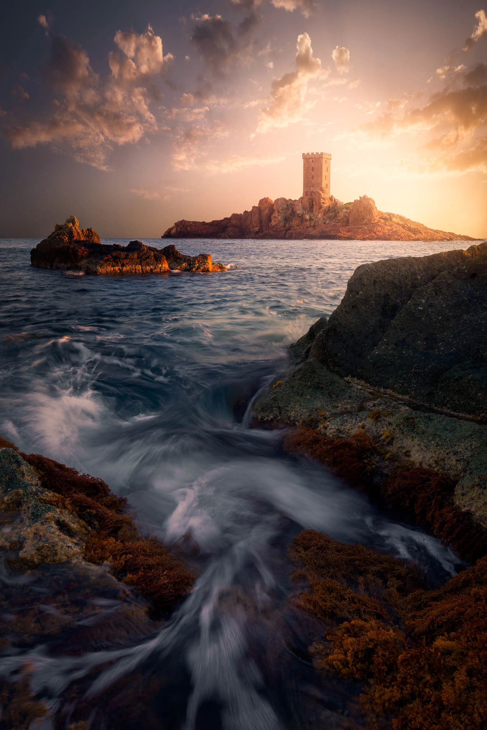Light Orange-4.jpg