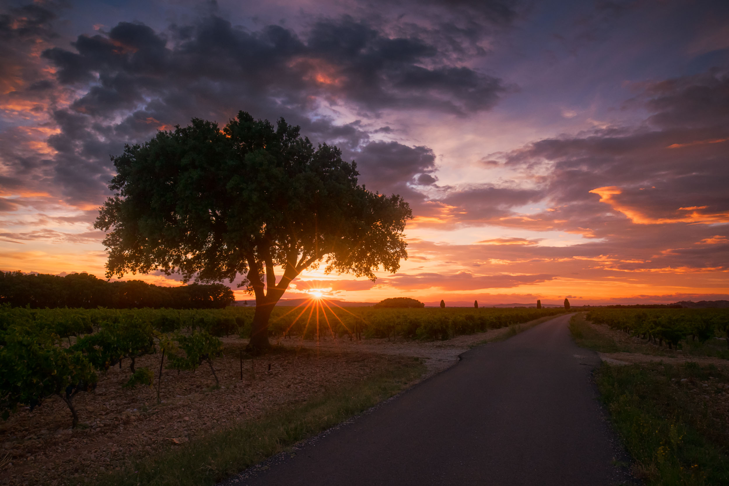 Into the fields-2.jpg
