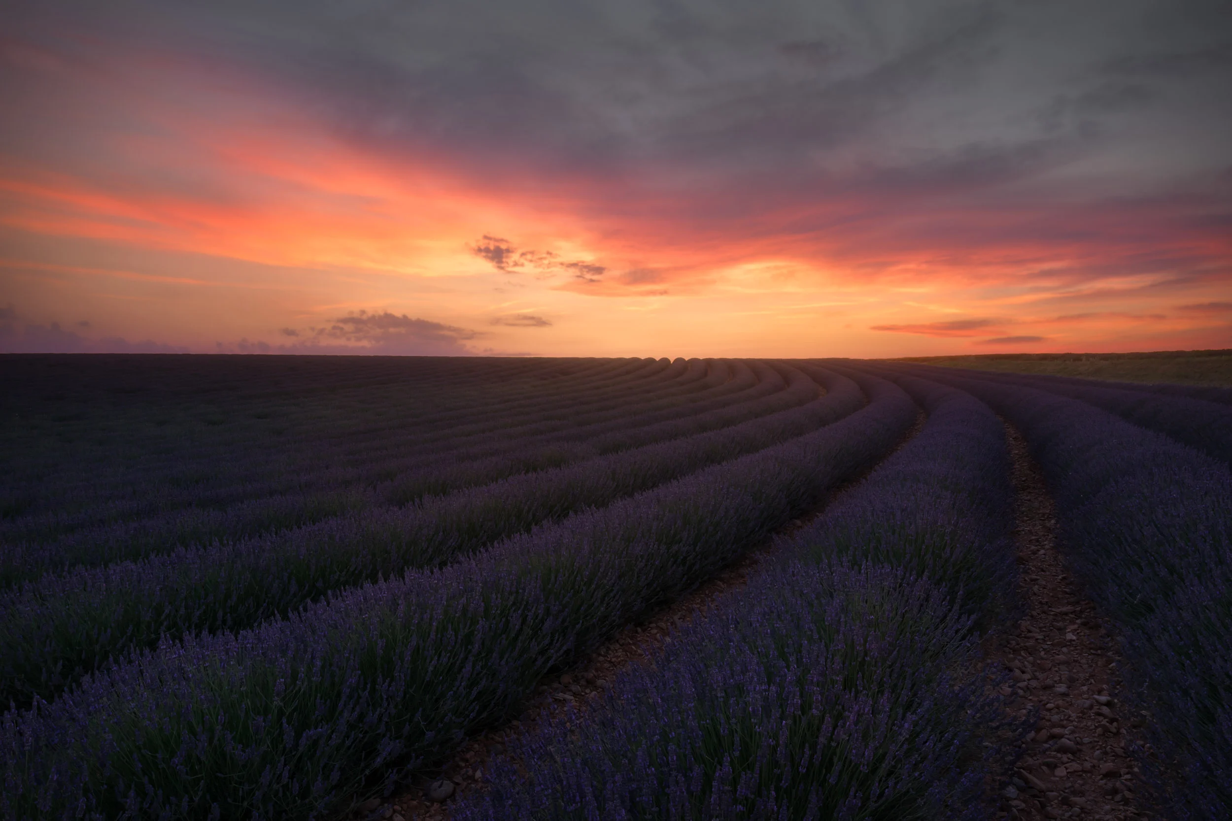 Into the fields-3.jpg