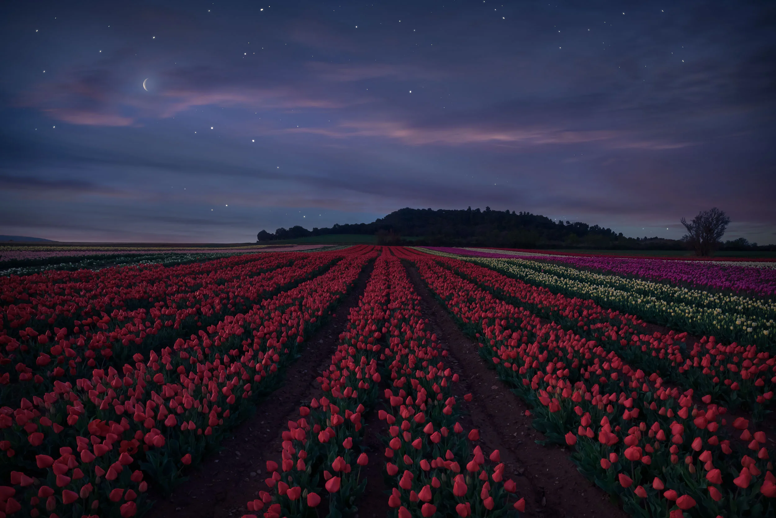 Into the fields-6.jpg