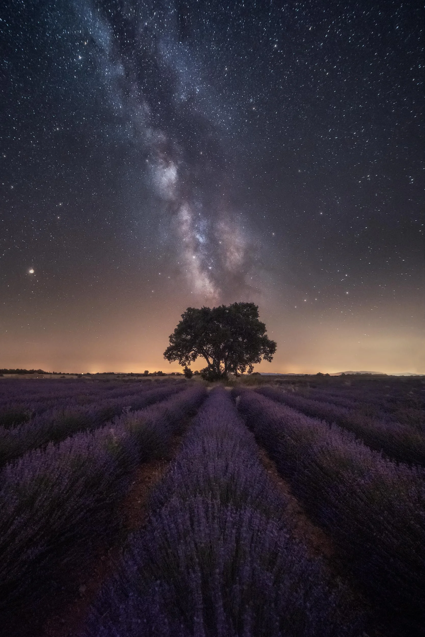 Uplifting Cosmos.jpg