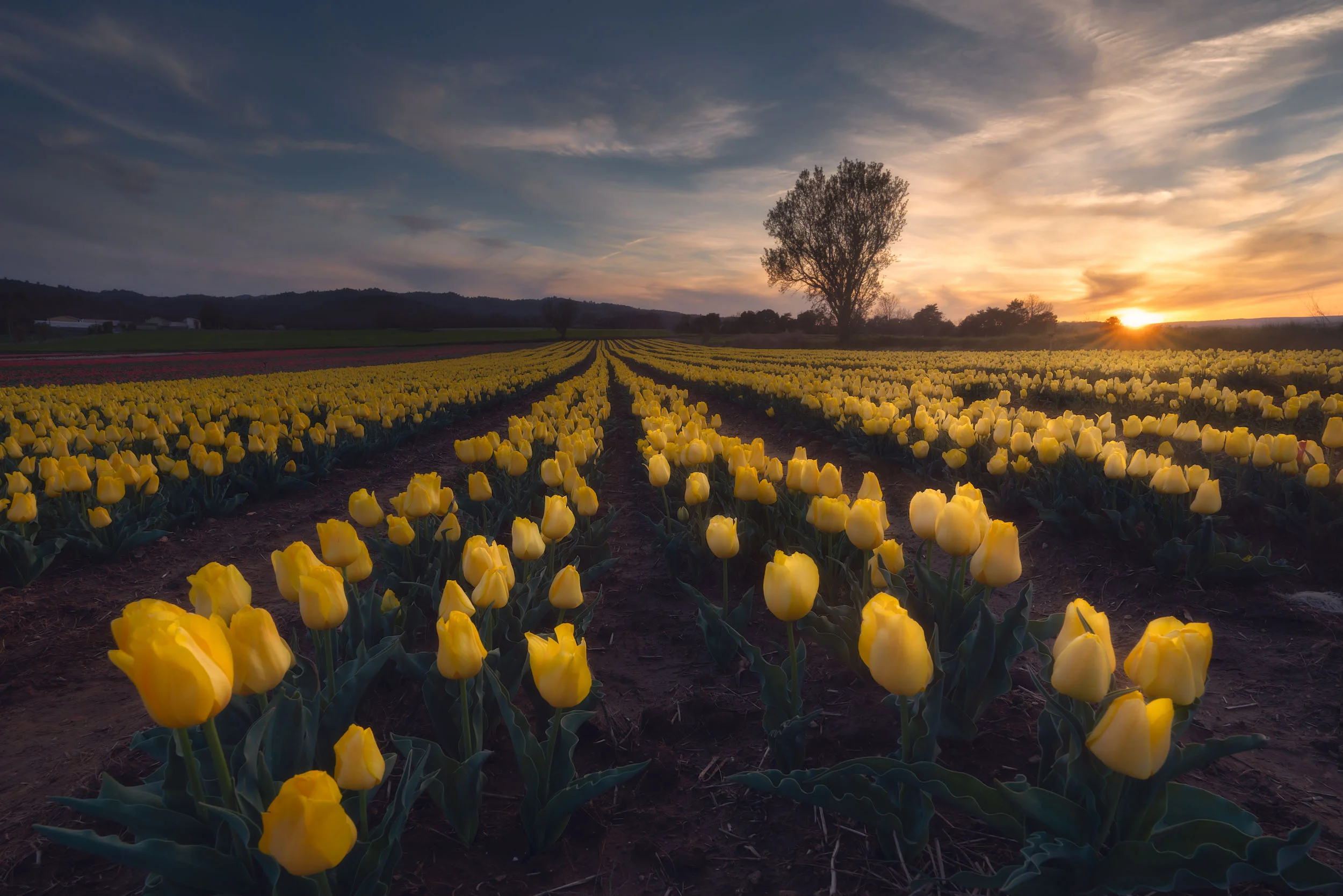 Last Light