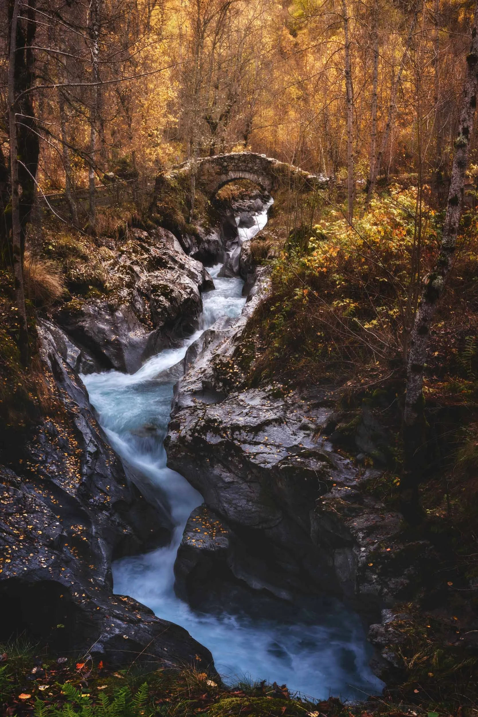 Autumn Tale