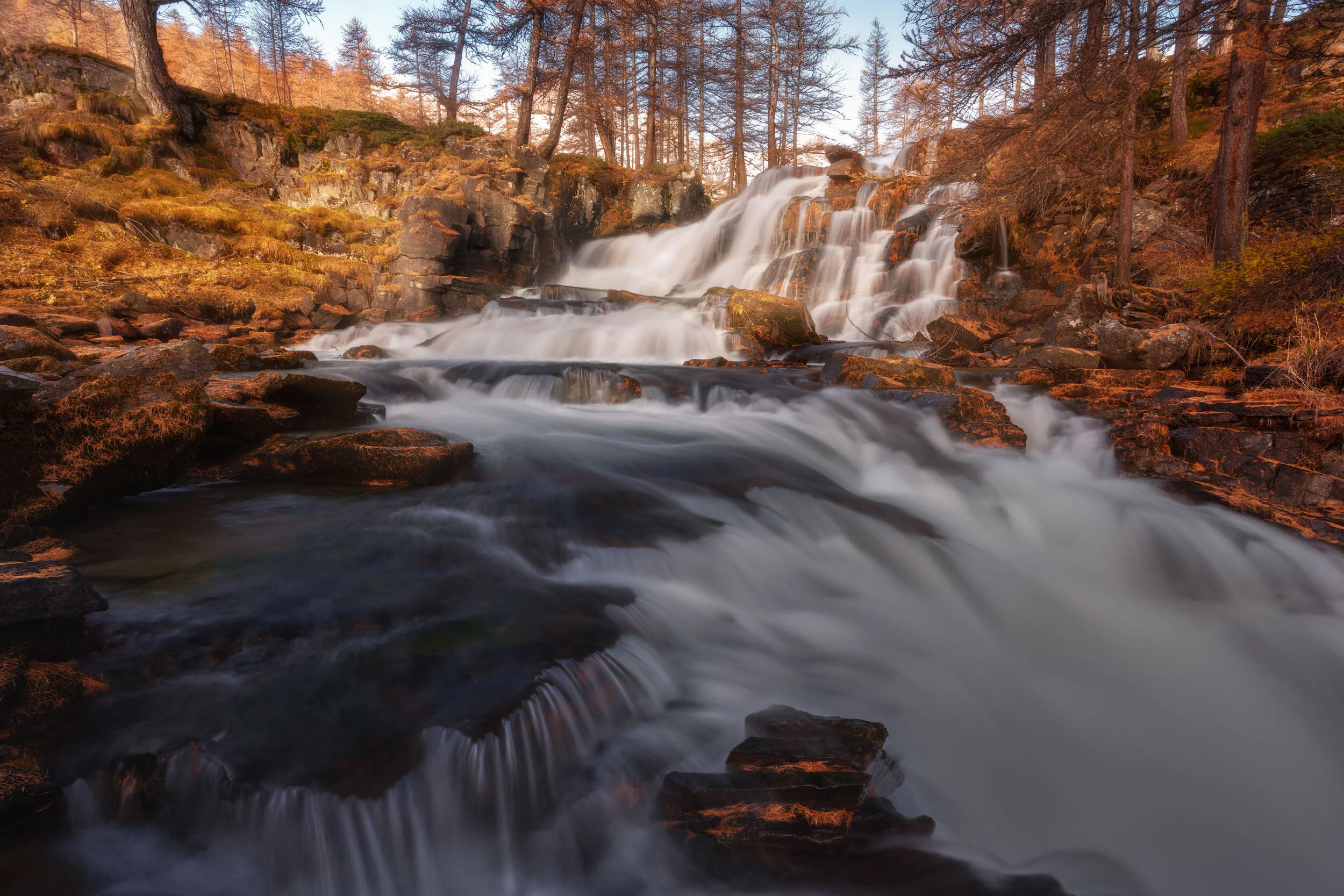 The Stream