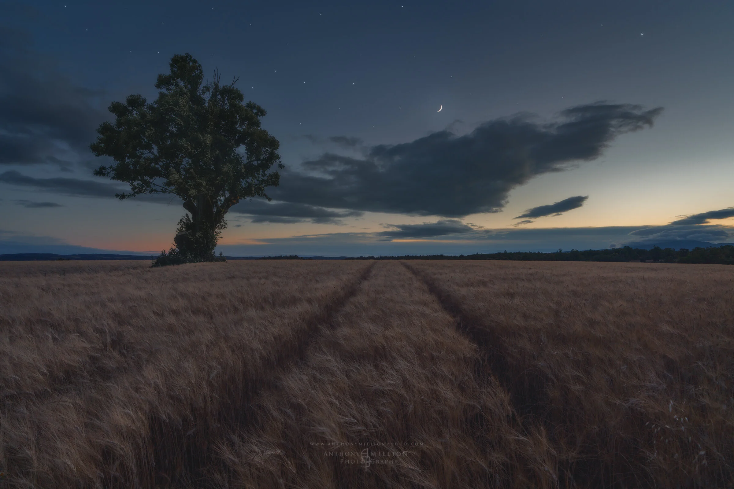 Embrace of Night