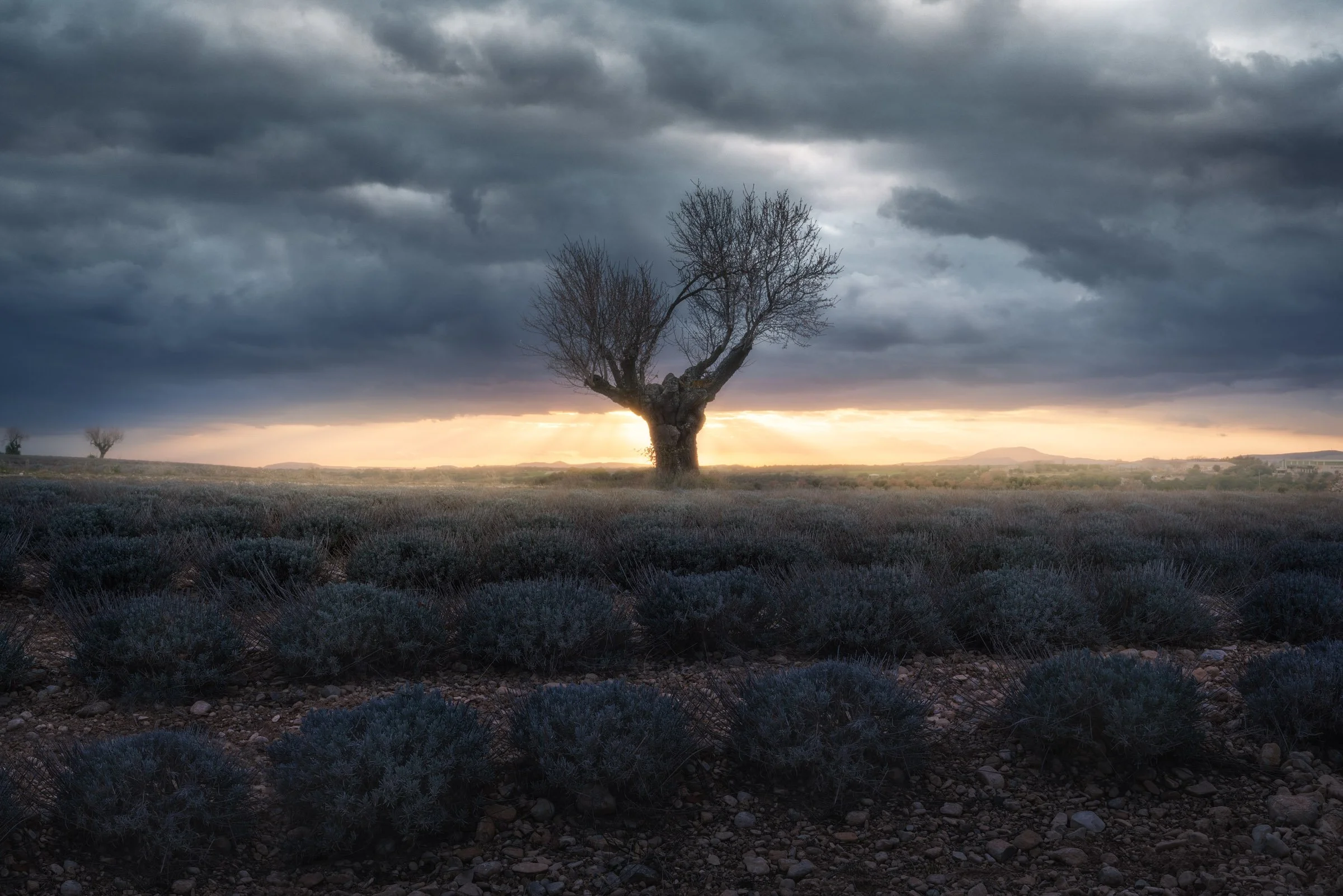 THE ANCIENT