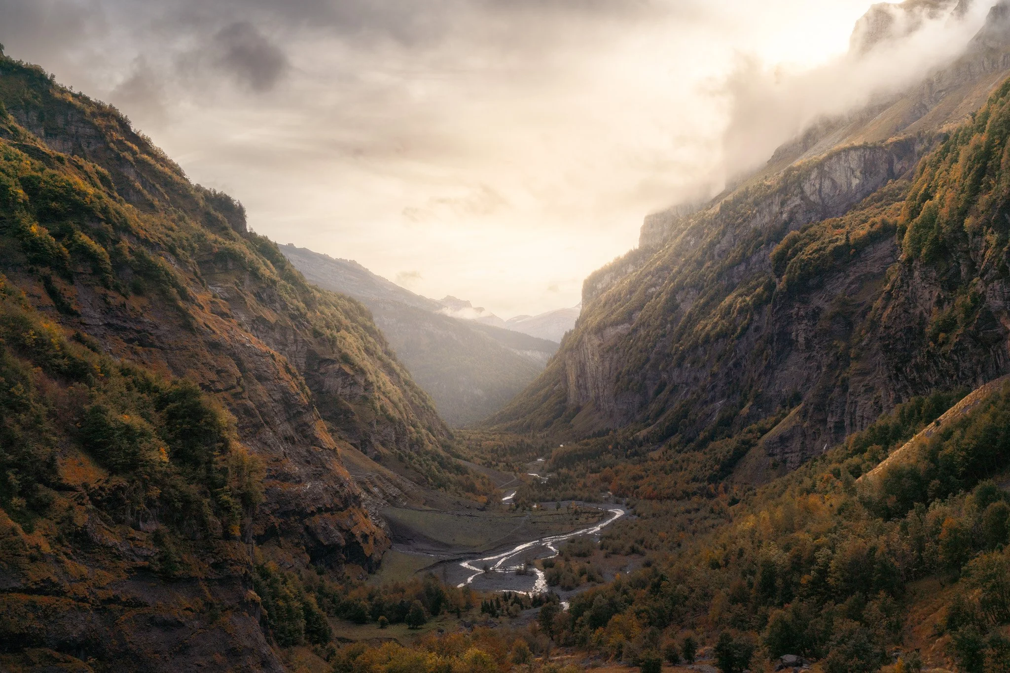 Valley of the Forsaken