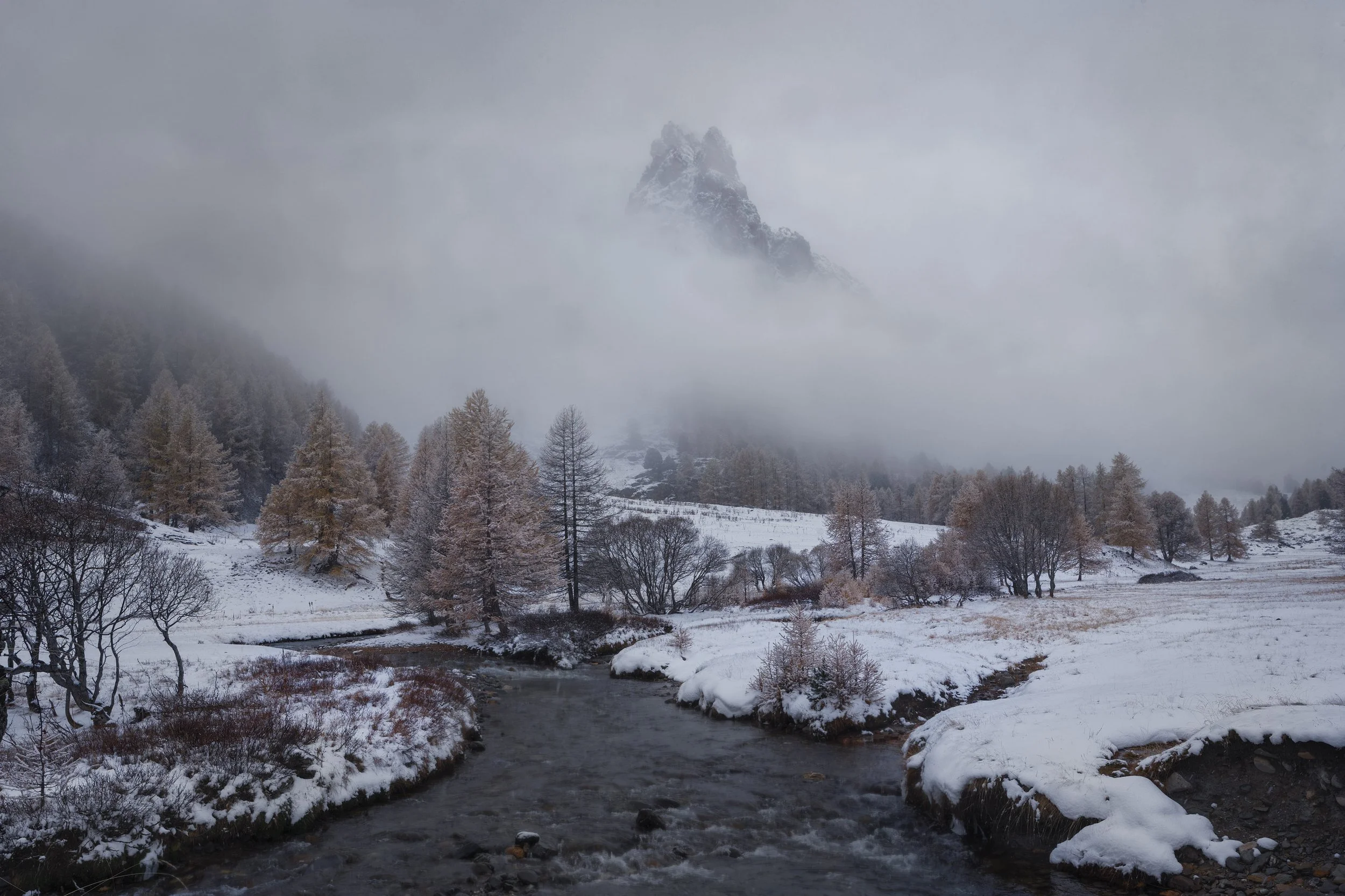 Soreigner of Winter II