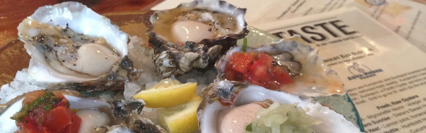 Oysters.jpg