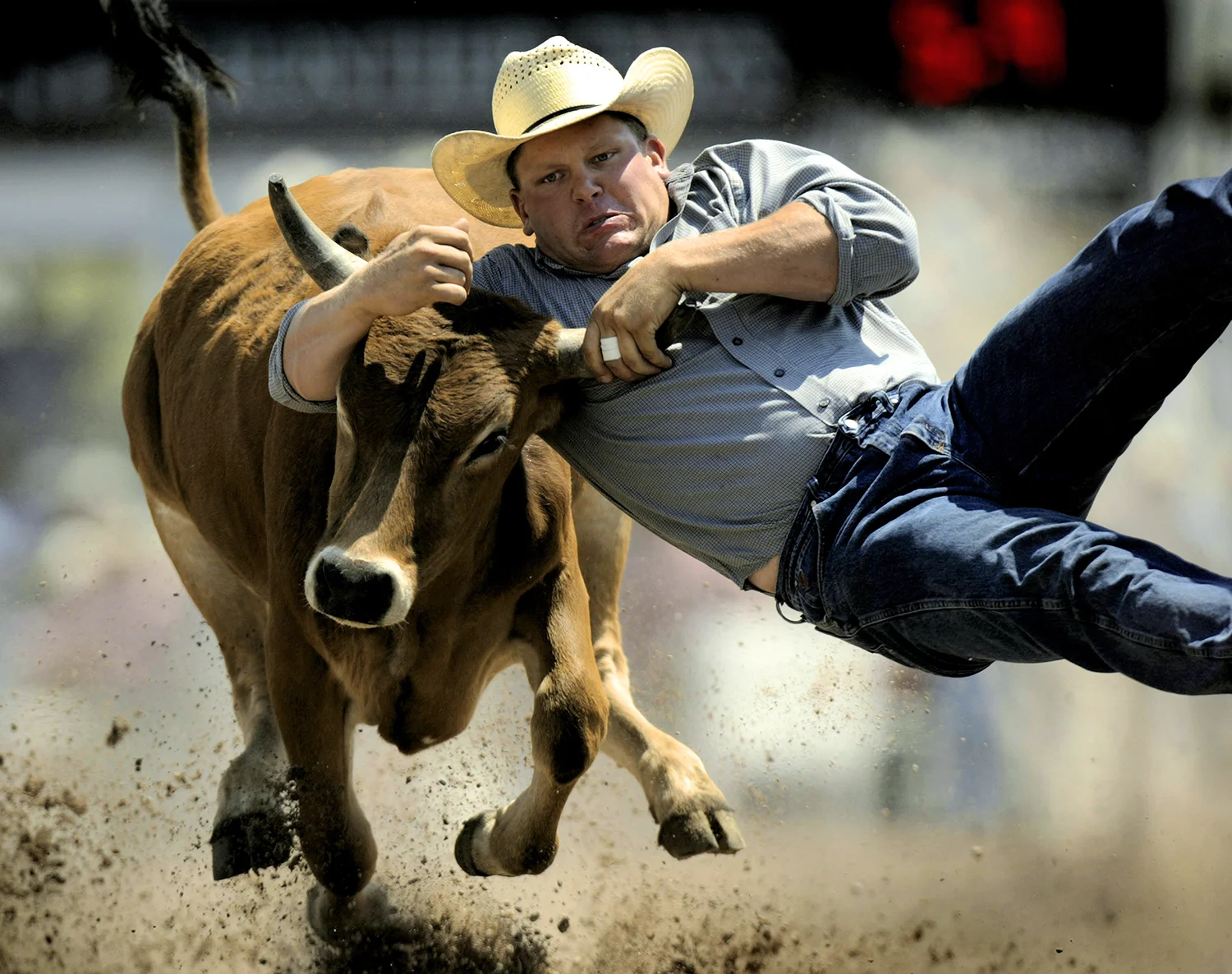 rodeo_cheyenne_frontier_days.jpg