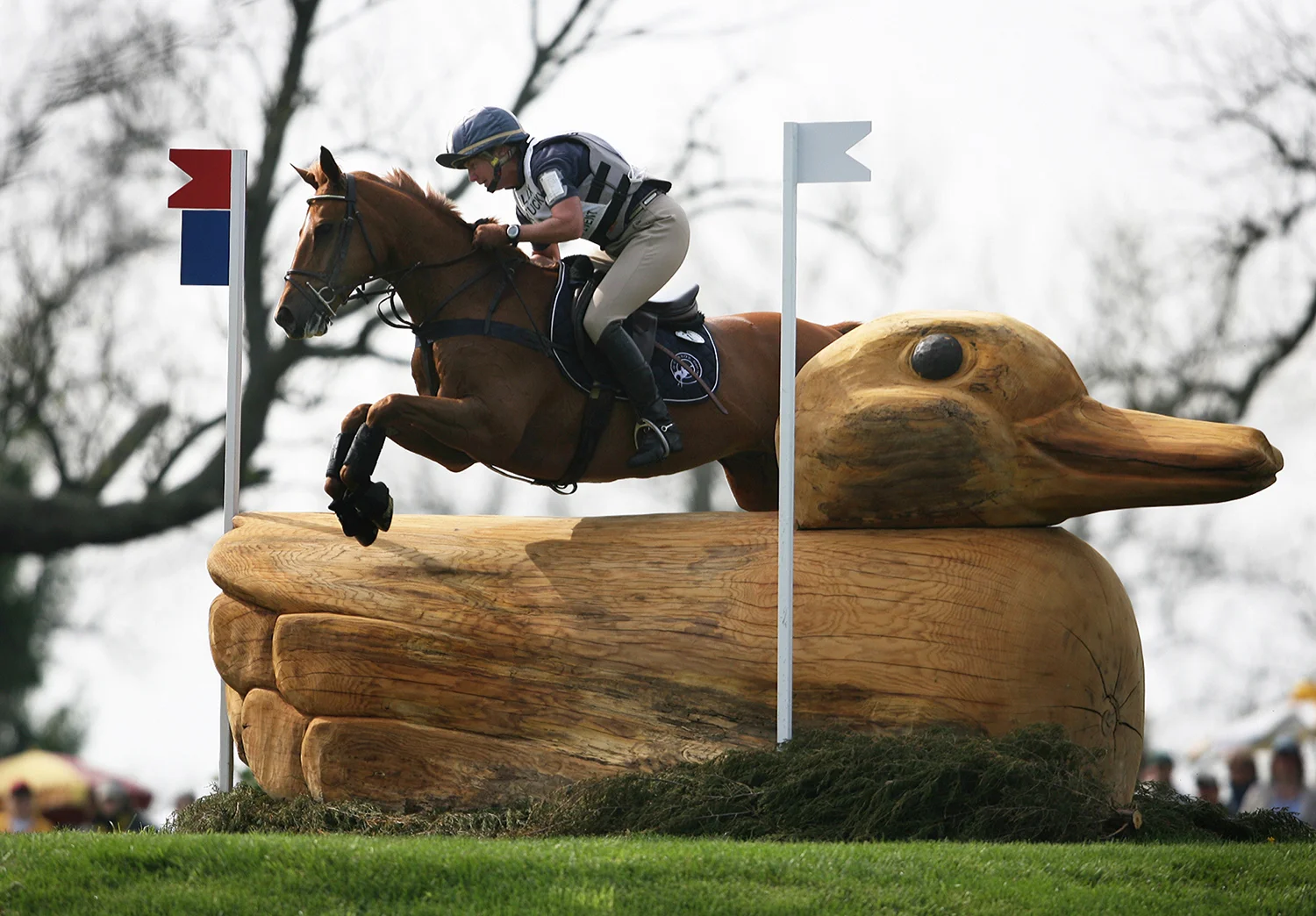 steeplechase_horse_jumps.jpg