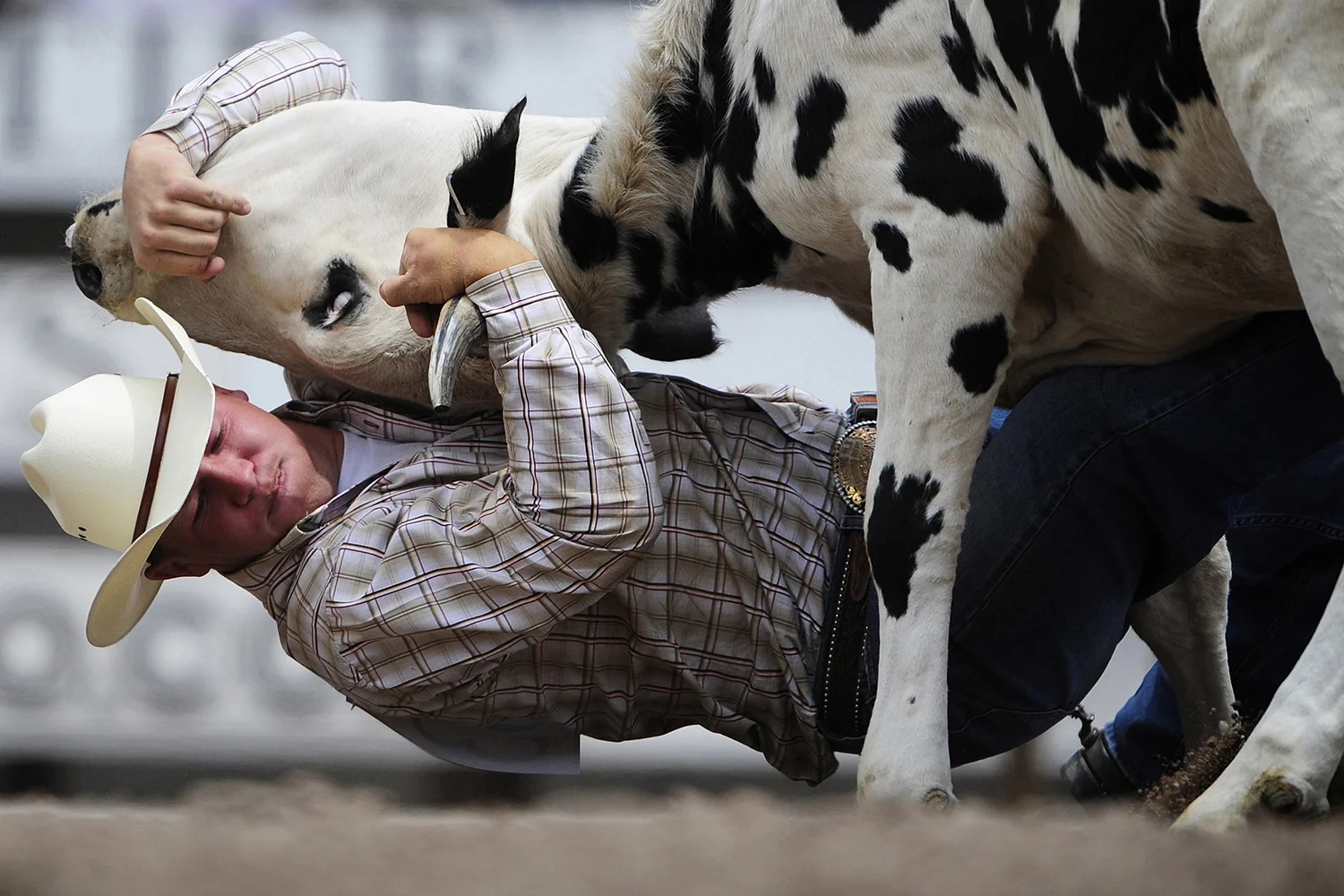 rodeo_cheyenne.jpg
