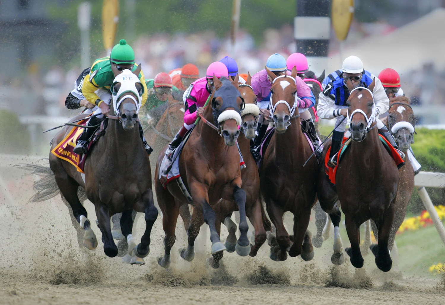 preakness_stakes_horse_racing.jpg