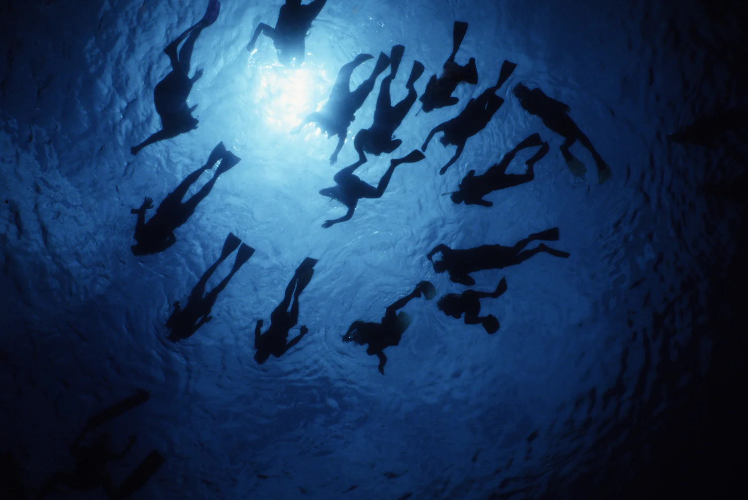 divers_cancun.jpg