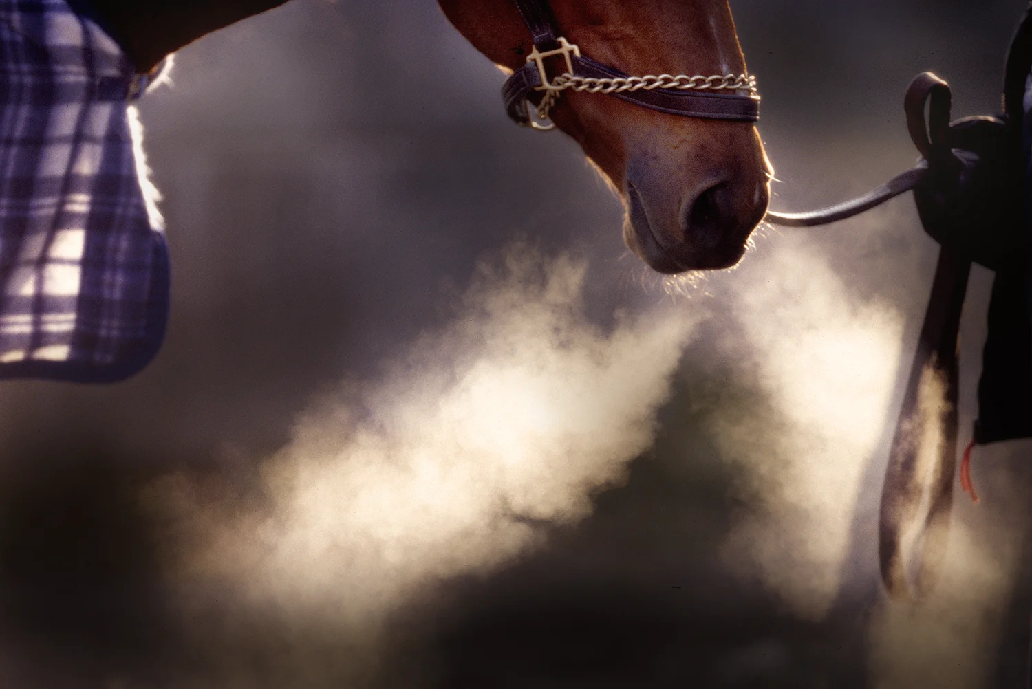 horse_churchill_downs.jpg