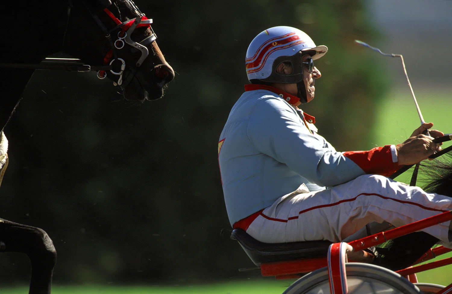 cart_before_horse_monticello_raceway.jpg
