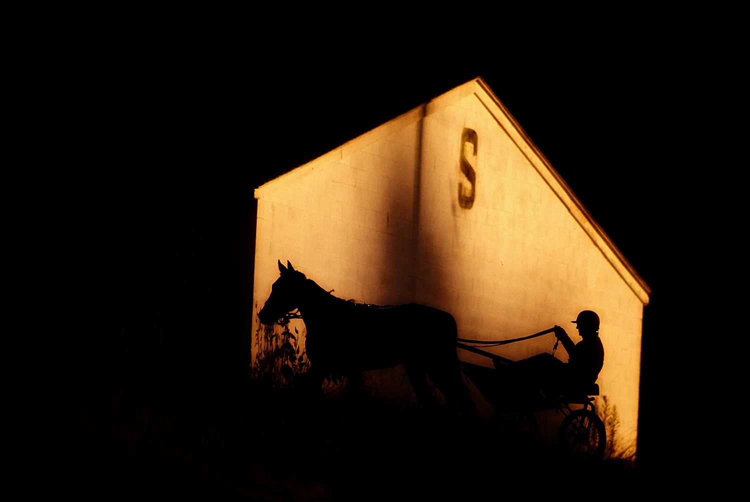 shadow_monticello_horse_race.jpg