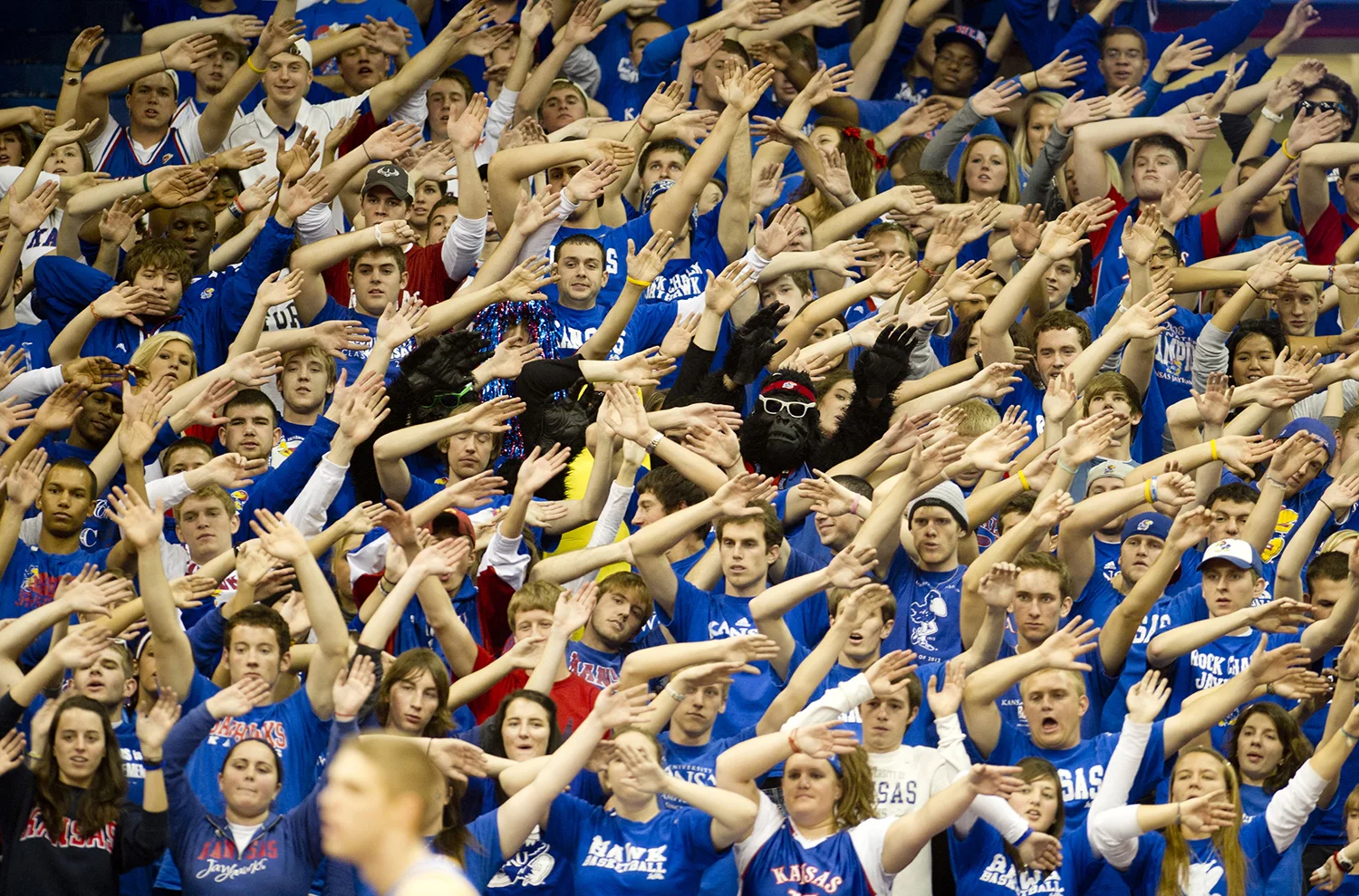 kentucky_fans.jpg