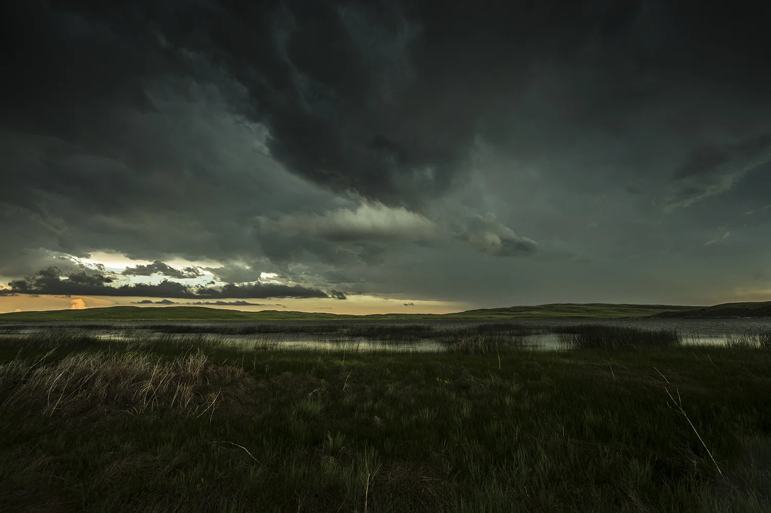 Nebraska_26339_ss.jpg