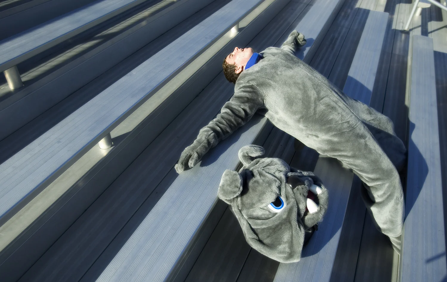 mascot.jpg