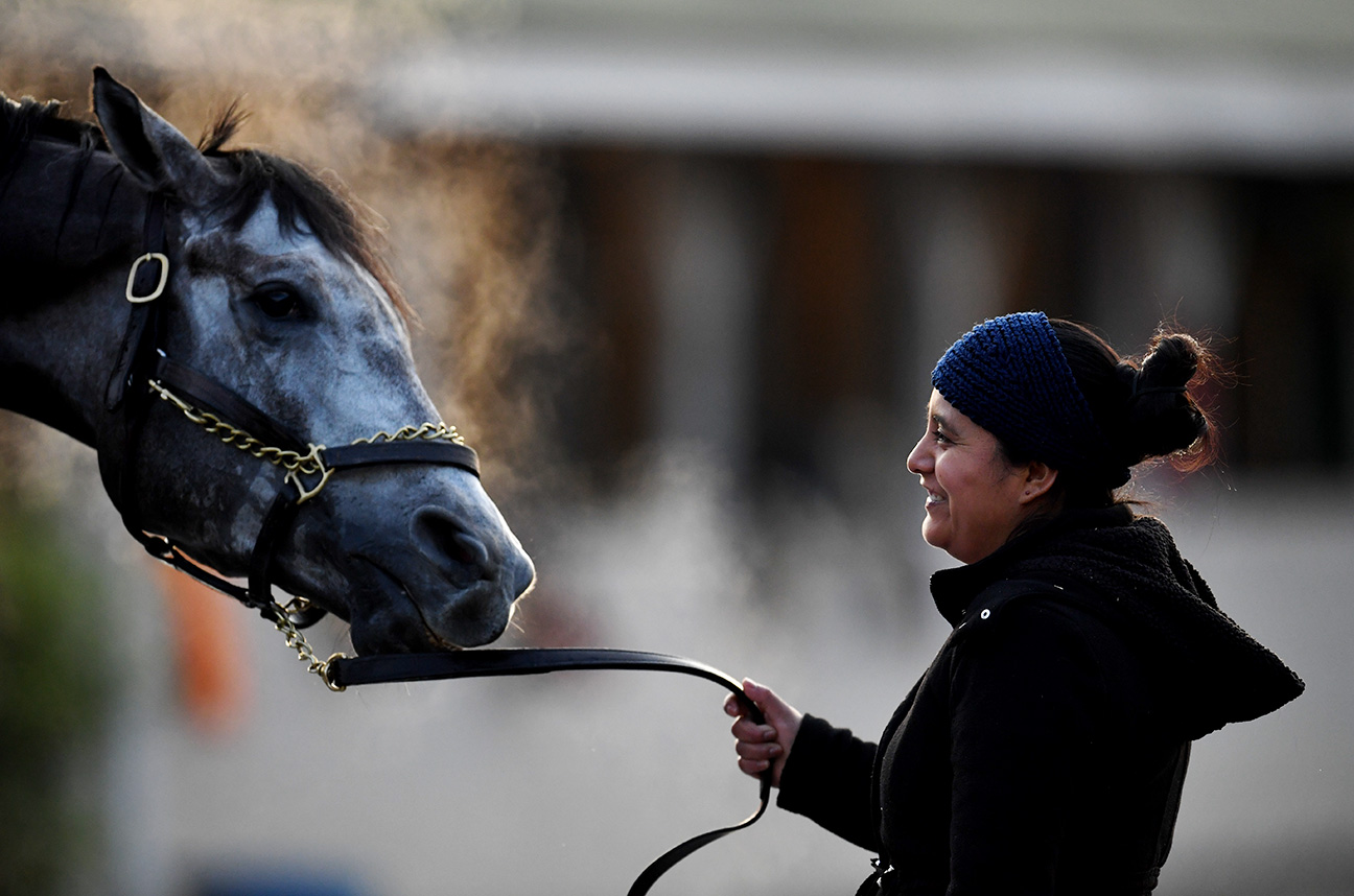 Isabell Pasquale holds on to Stiqua during a washing. Pasquale has been working at Churchill Downs for one year. Hot walkers like Pasquale are mainly tasked with walking horses after workouts.
