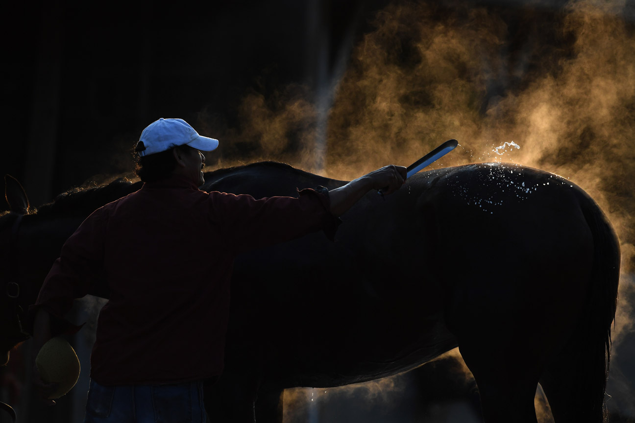 Noe Bahena bathes Jack Bu Genius, a maiden horse (meaning he has yet to win a race). Bahena has alternated working at Oaklawn Park Race Track in Hot Springs, Arkansas, and Churchill Downs.